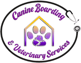 Canine Boarding & Veterinary Services